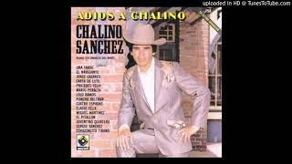 Chalino Sanchez  MARIO PERALTA [upl. by Renate]