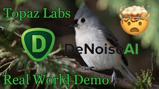 Topaz DeNoise AI Real World Demo [upl. by Shaylynn]