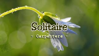 Solitaire  KARAOKE VERSION  as popularized by Carpenters [upl. by Abran]