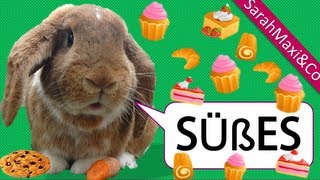 Kaninchen  Leckerlies lustig süß Hase Futter Kaninchenhaltung [upl. by Sucramaj]