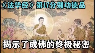 《法华经》第17分别功德品，揭示了成佛的终极秘密，如何让众生一步登天达到佛智？ [upl. by Sairacaz]