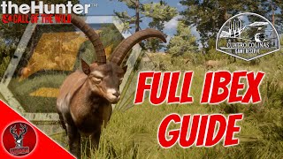 Full Ibex Hunting Guide On Cuatro Colinas  2 diamonds At One Lake [upl. by Yemrej]