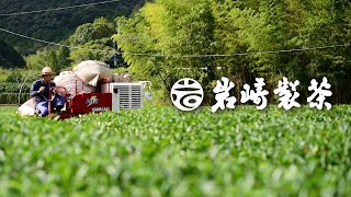 岩﨑製茶ブランドムービー 高知県三原村でつくる土佐茶 [upl. by Nickey74]