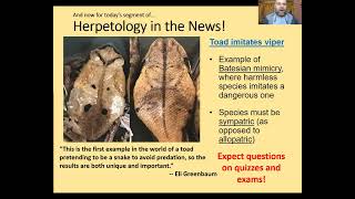 Herpetology Lecture 26 Jan 2022 [upl. by Adgam]