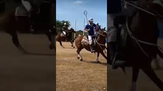 EXRACEHORSES PLAYING POLOCROSSE‼️ 💯🐴🥍 streamhorsetv horse polocrosse sports lacrosse shorts [upl. by Ahsirek]