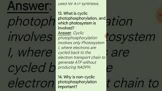 Photosystem 1amp2 in Photosynthesis botany exam preparation [upl. by Airamahs684]