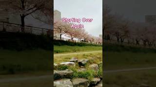 STARTING OVER AGAIN music love adventure hike hiking youtubeshorts nature [upl. by Reivilo9]