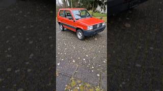 Fiat Panda 4x4 [upl. by Atig]