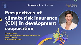 Perspectives of climate risk insurance CDI in development cooperation [upl. by Malinin]