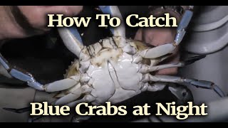 How To Catch Blue Crabs at Night [upl. by Itin]