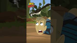 Martins Turn to Activate Roadrunner Powers  Wild Kratts [upl. by Atilef]