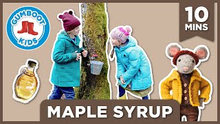 Maple Syrup 🍁 Gumboot Kids [upl. by Jessen]