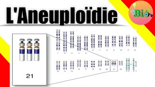 laneuploidie  génétique svi [upl. by Lomax]