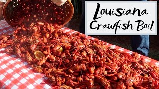 Authentic Louisiana Crawfish Boil  How to Boil Crawfish Louisiana Style [upl. by Kaycee]