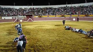 Men Participate in Crawling Race Across Bullfighting Arena  988572 [upl. by Burgwell]