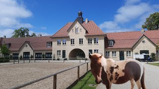 Gut Immenhof  Der Ponyhof aus den ImmenhofFilmen [upl. by Atiuqahs]