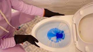 The Essential Guide to Cleaning a Toilet  StepbyStep Tutorial 🚽 ✨ [upl. by Elspet]