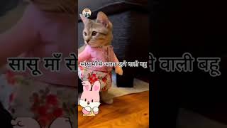 cat memes 🤣😂🤣 comedy catlaughs catblogger mycat catification youtubeshorts shorts ytshorts [upl. by Wrand761]