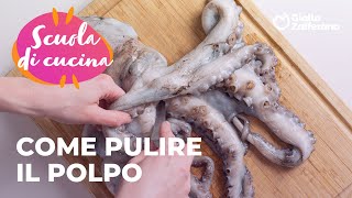 🐙 COME PULIRE e CUOCERE il POLPO  TUTTI I SEGRETI della SCUOLA di CUCINA di GZ😍✨ [upl. by Nyrad]