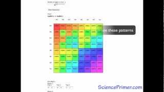 Punnett Square Calculator Overview [upl. by Brewer]