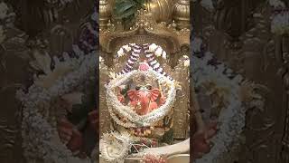 siddhivinayak live darshan today [upl. by Moises391]