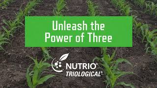 Unleash the Power of Three with NUTRIO TRIOLOGICAL [upl. by Innattirb]