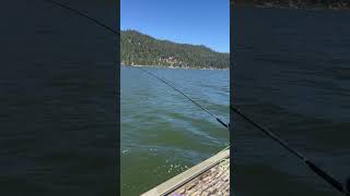 Big Bear Lake Fishing [upl. by Nonah]