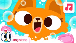 BATH SONG 🛀🎶  Songs for kids  Lingokids [upl. by Gee]