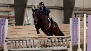 Ava Blackstock and Solstice 2’9 hunters schooling show 1st place [upl. by Eenot738]