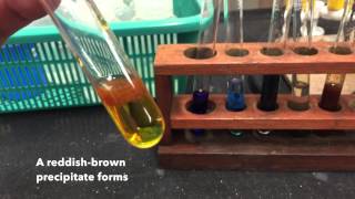 Cation Test IronIII Ions [upl. by Lewak]