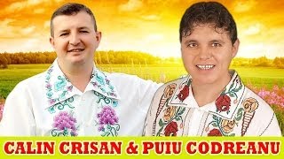 MUZICA POPULARA CU CALIN CRISAN SI PUIU CODREANU COLAJ NOU 2014 [upl. by Droffilc474]