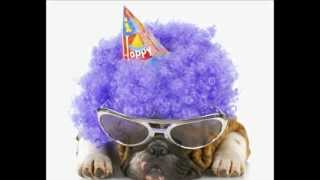 Happy Birthday Dogs Video [upl. by Rett]