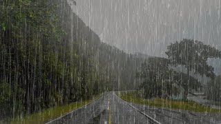 Lluvia Relajante Para Dormir en 6 Minutos  Ruido de Lluvia y Truenos en el Bosque Brumoso  ASMR [upl. by Leroy]