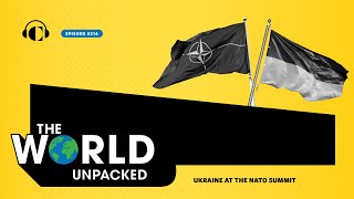 Ukraine at the NATO Summit [upl. by Leonora]