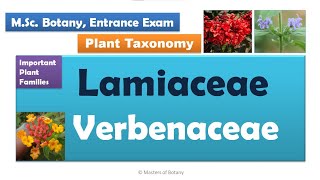 Lamiaceae amp Verbenaceae  MSc Botany Entrance  Angiosperm Families  Important Notes [upl. by Dole]