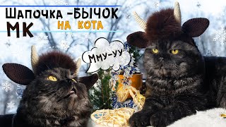 Шапка для кота крючком БЫЧОК 🐮  Мастеркласс по вязанию символа 2021 года🐂 [upl. by Merola]