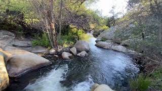 Green Valley Falls Trail in Cuyamaca Rancho State Park San Diego County [upl. by Kape605]