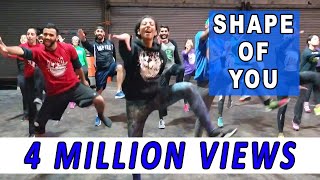 Bhangra Empire  Shape of You Freestyle [upl. by Michi]