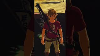 How to get INFINITE RUPEES in Breath of the Wild TLoZ BotW Glitch [upl. by Hansel]