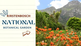 Kirstenbosch National Botanical Garden Cape Town [upl. by Garretson427]