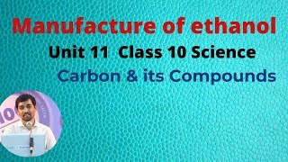 Class 10 Science Manufacture of ethanol  Carbon and its Compounds [upl. by Lierbag]