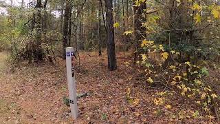 Trap Pond Thursdays Trap Pond State Park Autumn Season Ep 7 [upl. by Yeknarf268]