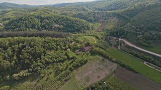 Casă în Dumbrăvița de Codru Bihor și teren cu suprafața de 8 hectare de vânzare [upl. by Gelasias]