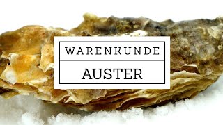 Warenkunde Auster  Auster öffnen [upl. by Wagner]