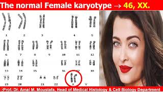 Genetics Practical Karyotyping of Human Chromosomes amp Chromosomal Anomalies Amal Moustafa [upl. by Haimehen]