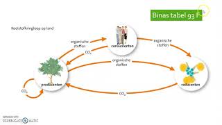 8 2 Koolstofkringloop [upl. by Sandie625]