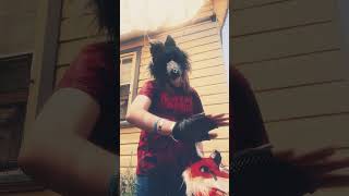 Prey fears me 🤗 therian halloween furry cringe animalcostume fox animalmask [upl. by Atirac]