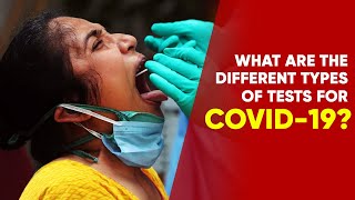 What Is The Difference Among RTPCR Antibody amp Antigen Tests Of Coronavirus  NewsMo [upl. by Franni]