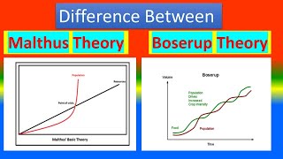 Difference Between Malthus Theory and Boserup Theory [upl. by Aerdnaz]