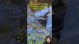 Kirain lumba lumba sama anjing laut ternyata sidat sidatraksasa eel eelfish [upl. by Tihor]